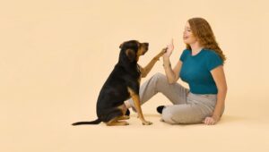 Therapist Annalisa Smithson with Benji, a 10-pound Maltese she uses in her therapy sessions.