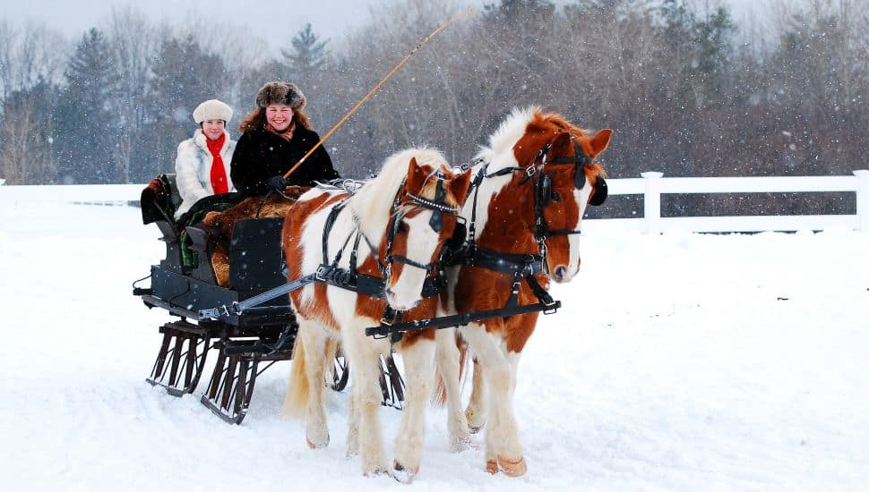 Two women enjoying a horse-drawn sleigh ride in the snow.