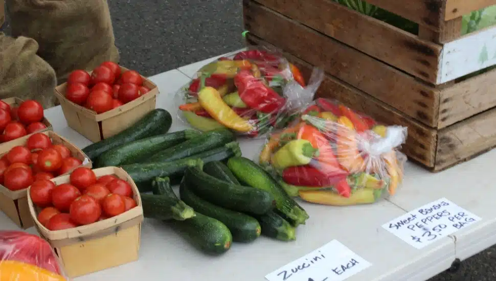 Local fresh tomatoes, cucumbers and other vegetables available for sale at the Warrington Farmers Market.