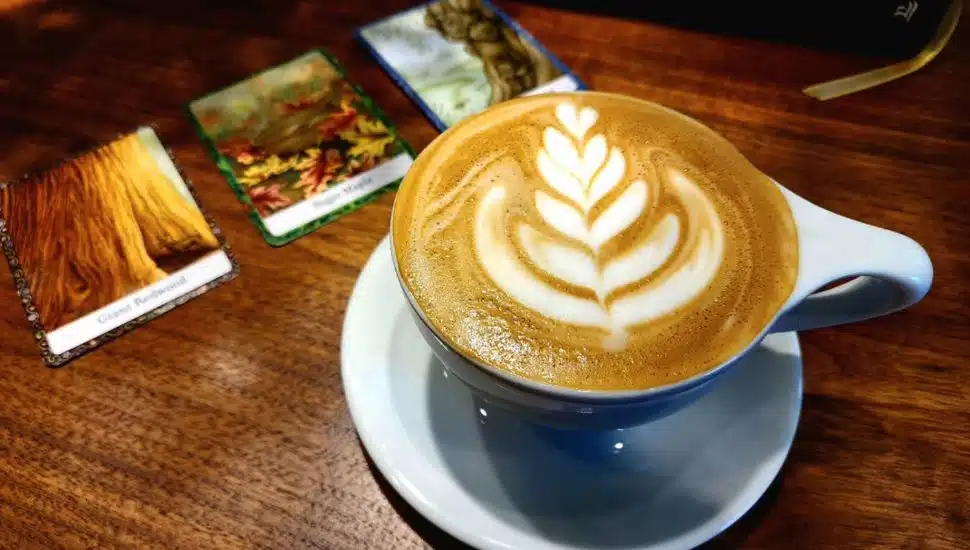 Amsterdam Coffee House Latte
