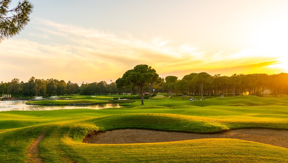 A golf course fairway.