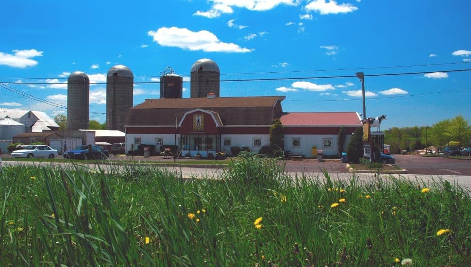 Freddy Hill Farms.