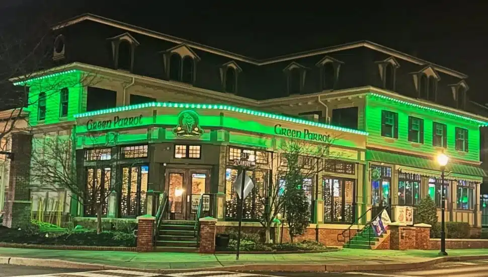 Green Parrot’s new nighttime look.