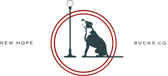 Stella of New Hope logo 