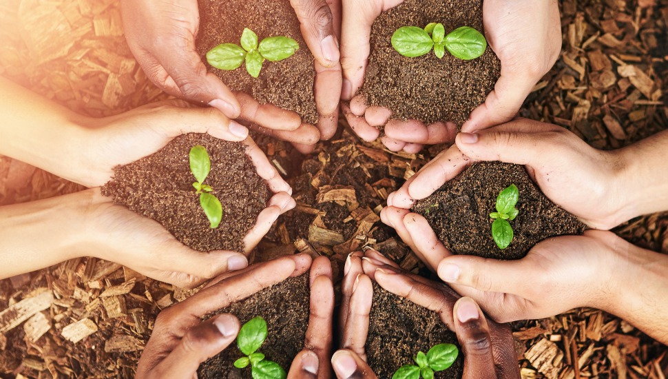 A diverse group of hands holding soil with small green seedlings, symbolizing community growth, collaboration, and sustainable investment.
