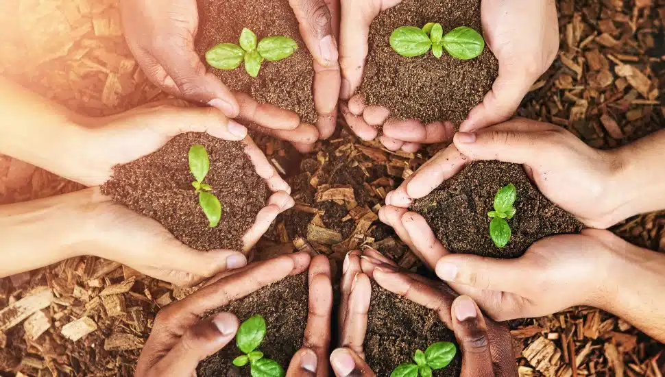A diverse group of hands holding soil with small green seedlings, symbolizing community growth, collaboration, and sustainable investment.