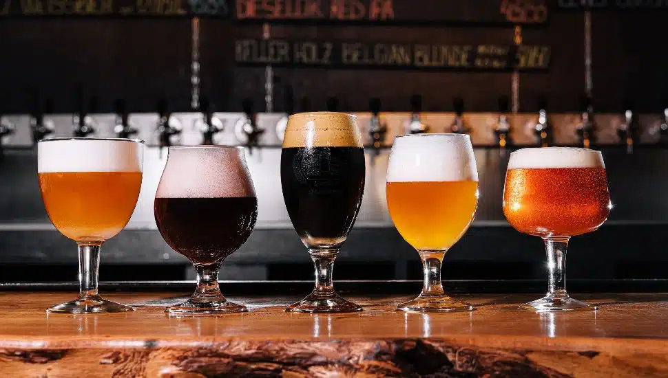 Different types of craft beer in glasses on table in pub interior in daylight