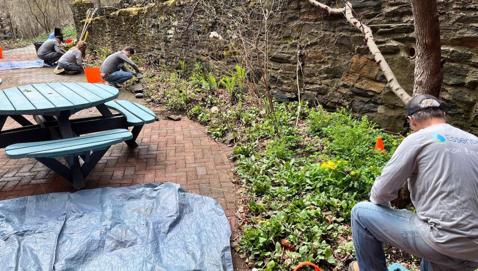 A group of Aqua and Essential Utilities employees volunteer outdoors for Earth Day, weeding and cleaning up a garden area along a brick path beside a stone wall, with a teal picnic table and tools visible.