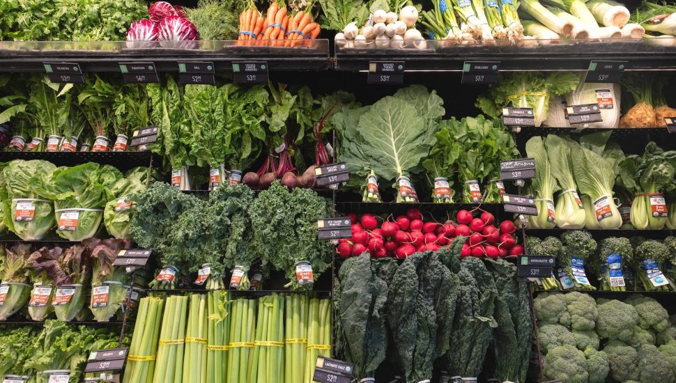 Wall of a variety of vegetables at Kimberton Whole Foods.