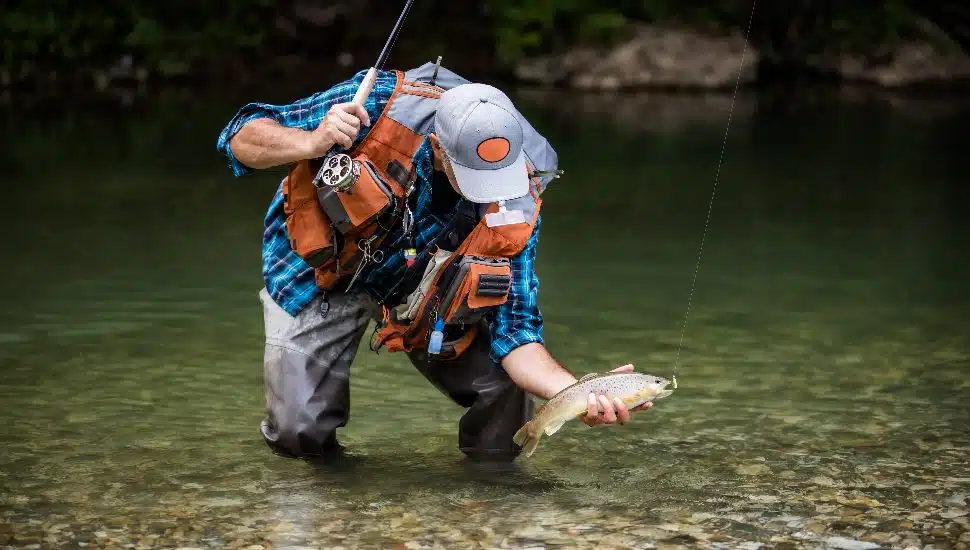 A man wades in water and fishes a trout.