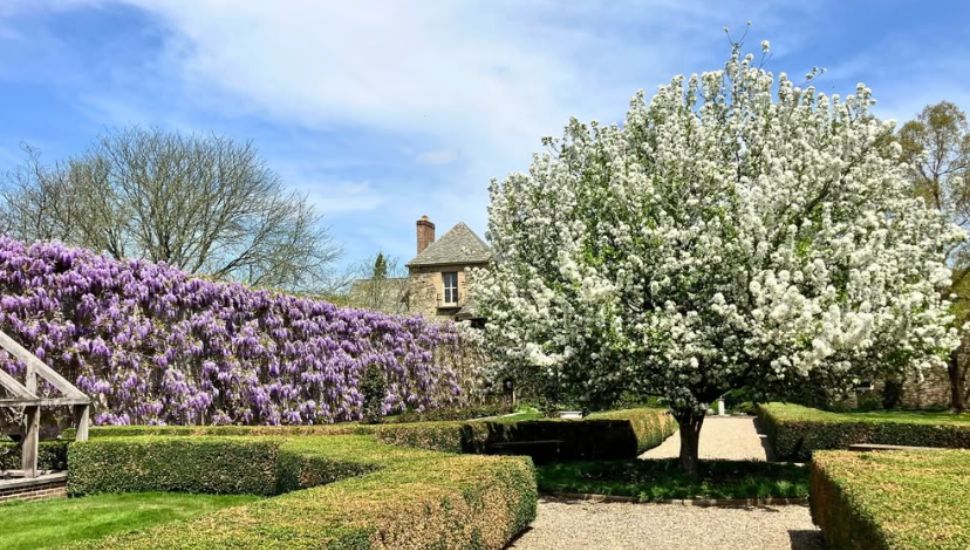 Beautiful purple flowers and a blooming tree at the Andalusia House.