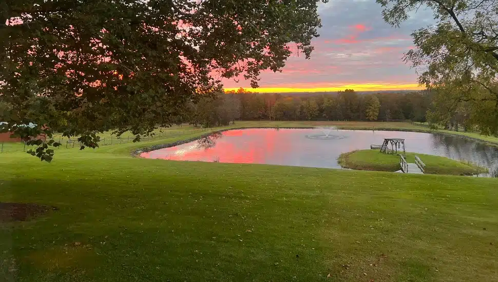 Still Rise Farms panorama