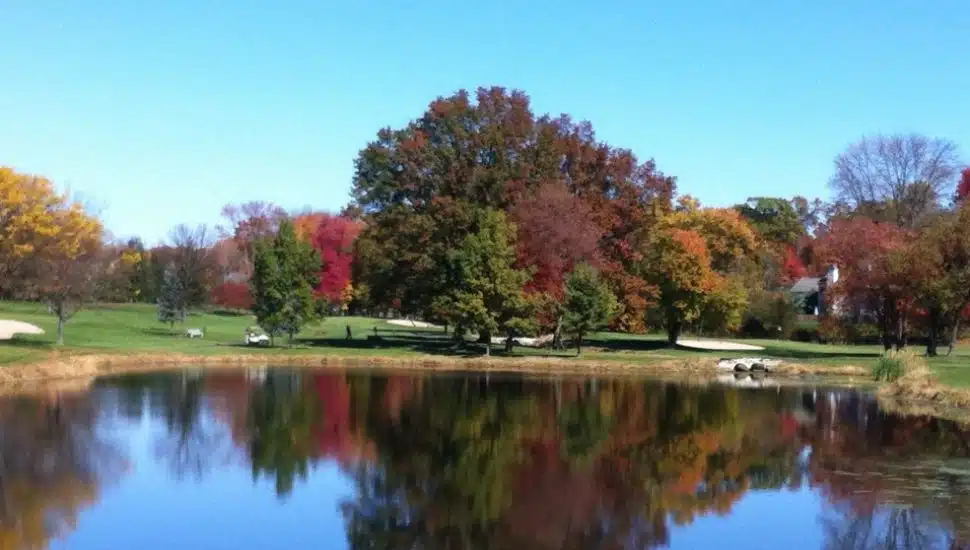 Trees and a golf course behind a pond at Fairways Golf Club.