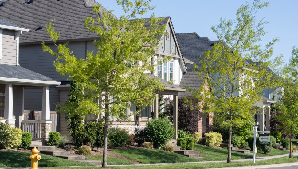 Suburban houses with trees planted out front.