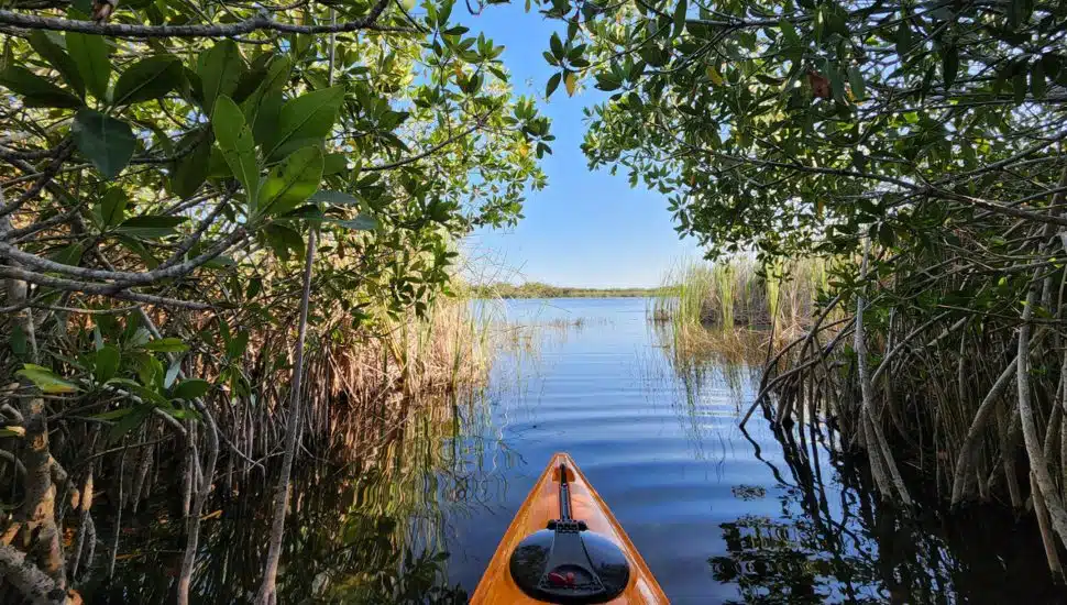 Front of orange kayak on a body of water with trees surrounding it.