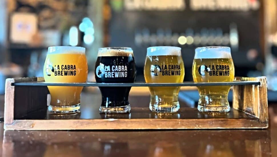 Four La Cabra Brewing cups filled with beer on a counter.