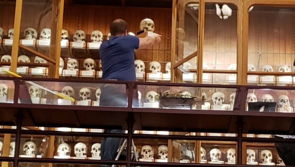 Philadelphia’s Mütter Museum Courts Controversy Due to Differing Views on Its Human Remains Collection