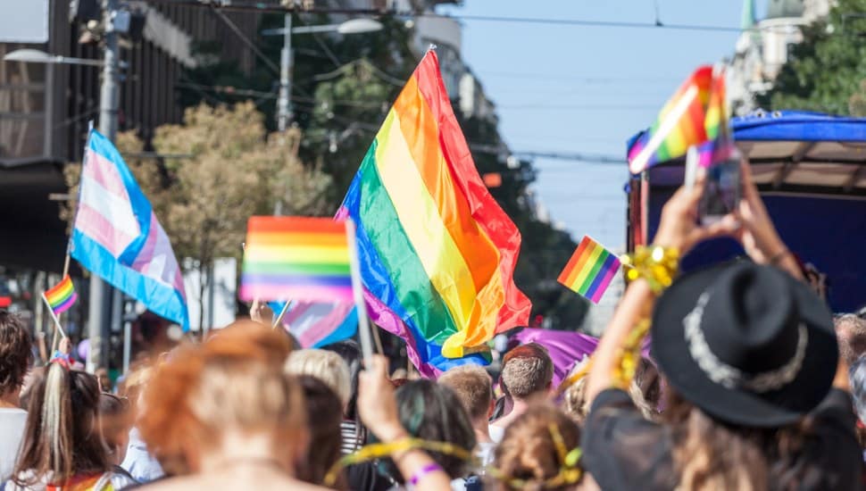 Crowd raising and holding rainbow gay flags during a Pride Parade.