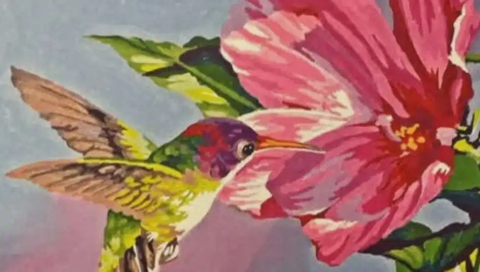 Sarah's Pulaski's painting which feature a green hummingbird and a pink flower.