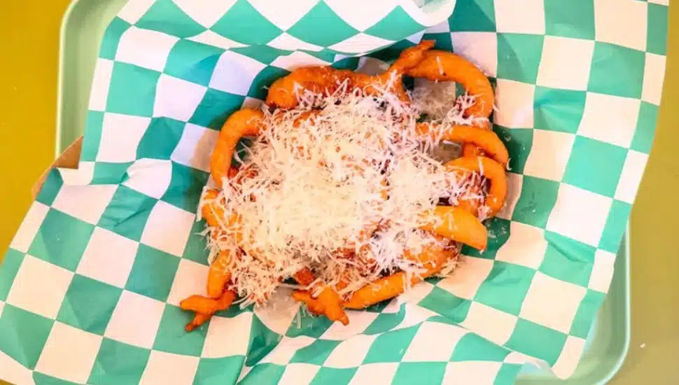 Picture of the Speckled Egg Cafe's savory funnel cake.