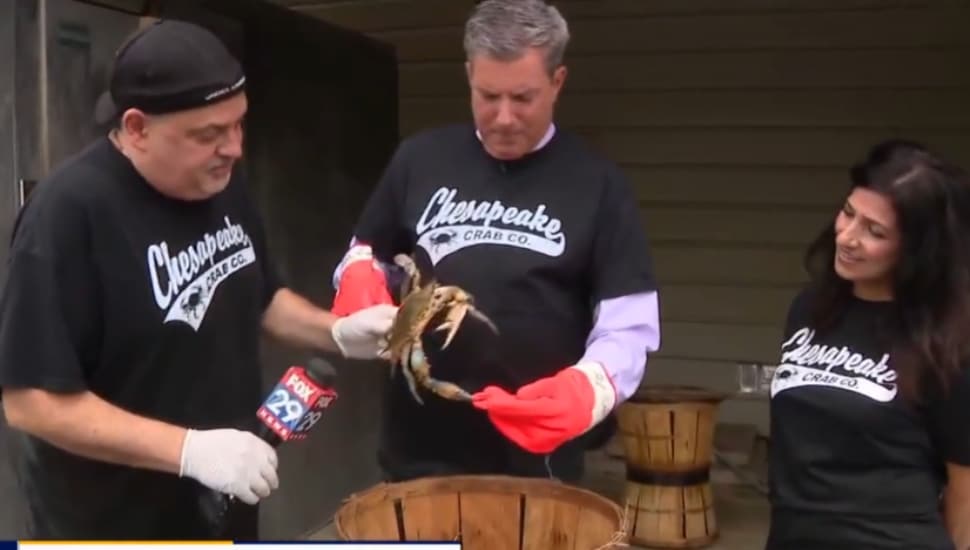John Renzi, owner of the Chesapeake Crab Company in Garnet Valley (left) and his wife shows Fox 29's Bob Kelly how to sort crabs.
