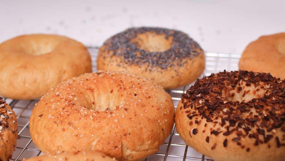 Bagels from Haasis Gluten Free Bakery.