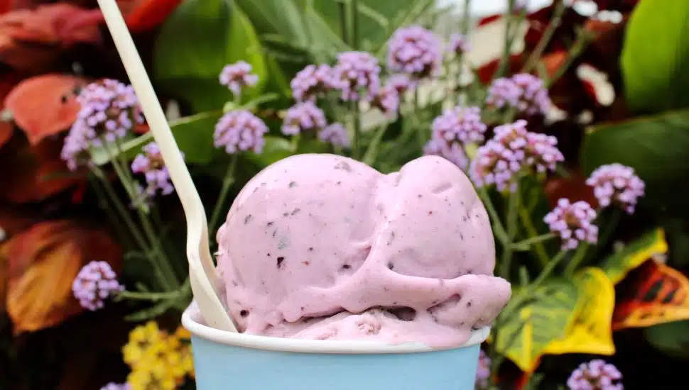 Ice cream from Owowcow creamery in a cup in front of flowers.