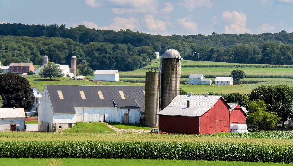 Barn and buildings on a farm.