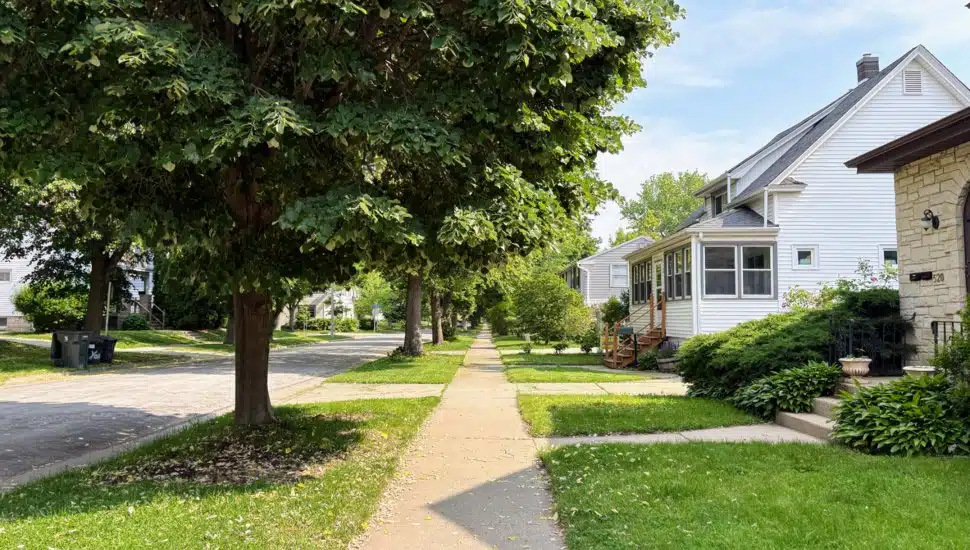 Suburban homes lining a sidewalk with a tree.