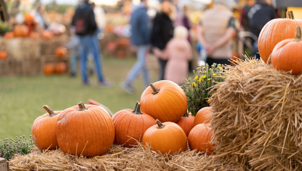 Pumpkins stacked on straw bales, against the background of people.