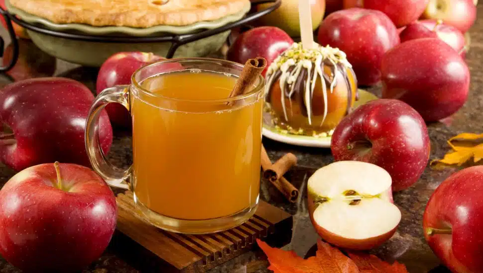 Apple cider with apples.