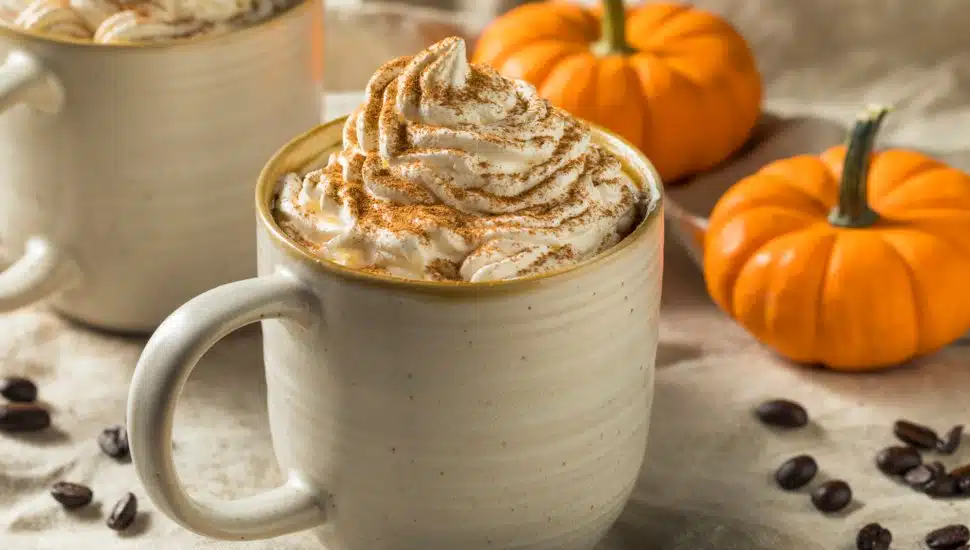 Pumpkin Spice Latte Coffee with Whipped Cream and pumpkins in the background.