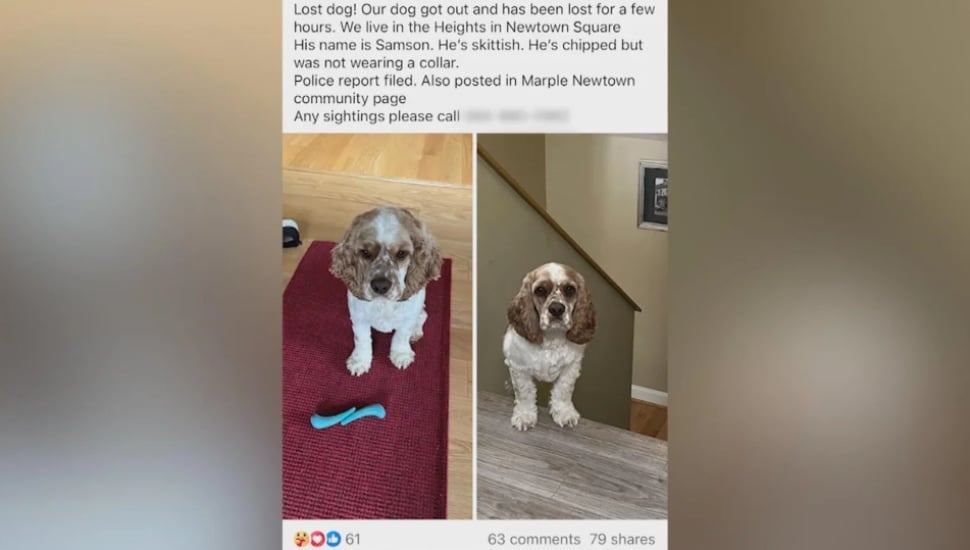 Roberto Roddens Facebook post about her lost dog.