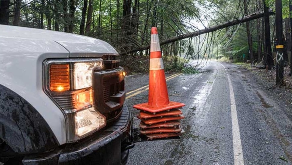Caution cones around downed tree and power lines.