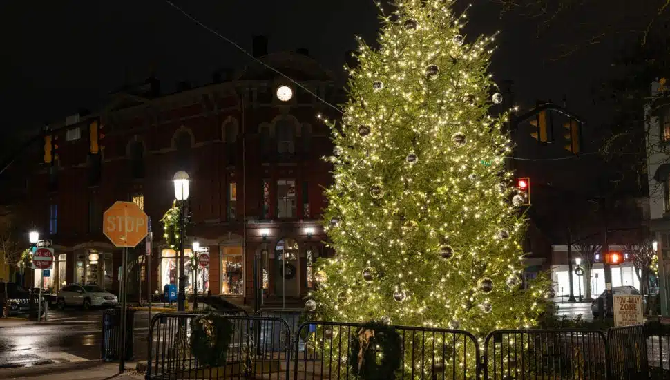 Christmas Tree in Doylestown.