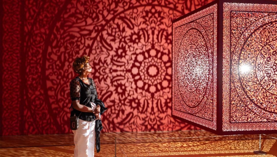 "All Flowers are for Me" light box from Anila Quayyum Agha.