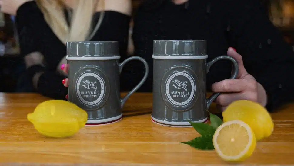 Iron Hill Brewery & Restaurant steins.