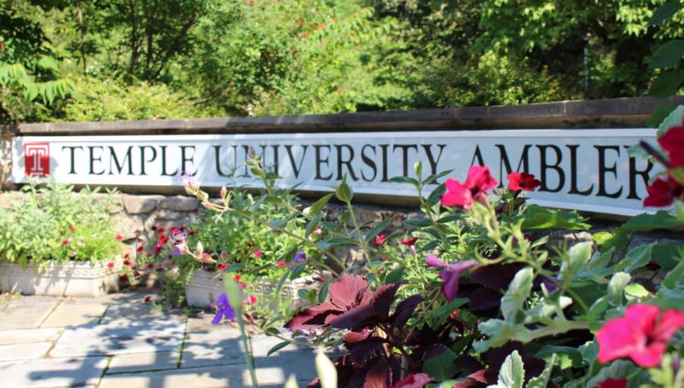 Temple University Considering Options for Ambler Campus, Including Potential Sale