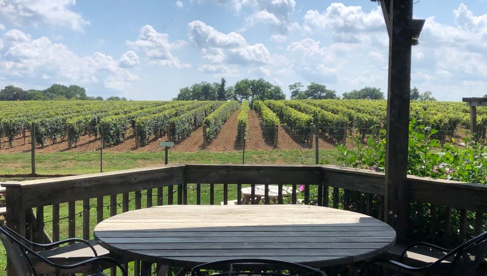 Va La Vineyards.