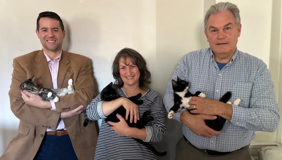 Advocates Think Don Guanella School Site Could Ease Stray Animal Problem