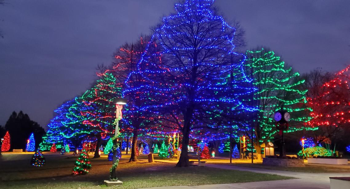 Green, red and blue lights on trees.