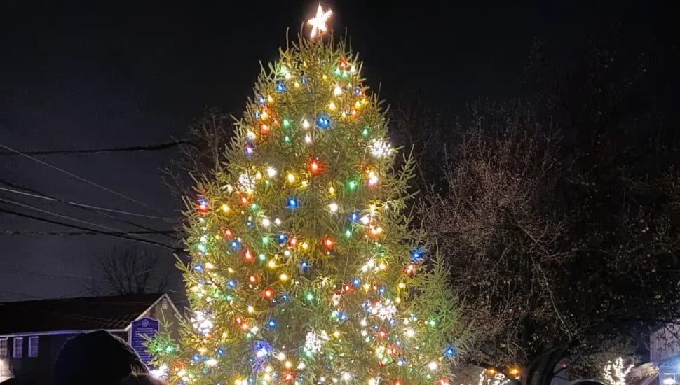 Newtown Tree Lighting.