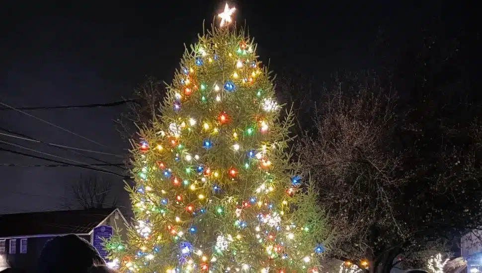 Newtown Tree Lighting.