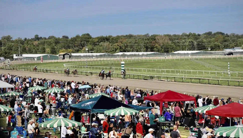 People gathered to watch a race at Parx Racetrack.