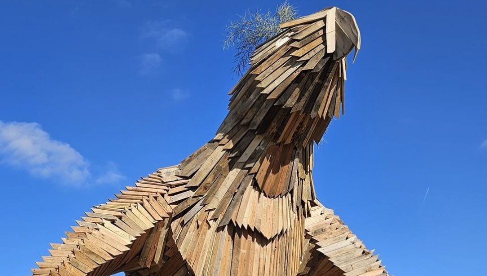 Wooden bird in the daytime.