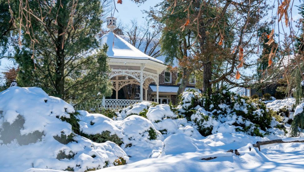 Gazebo with trees covered in snow.