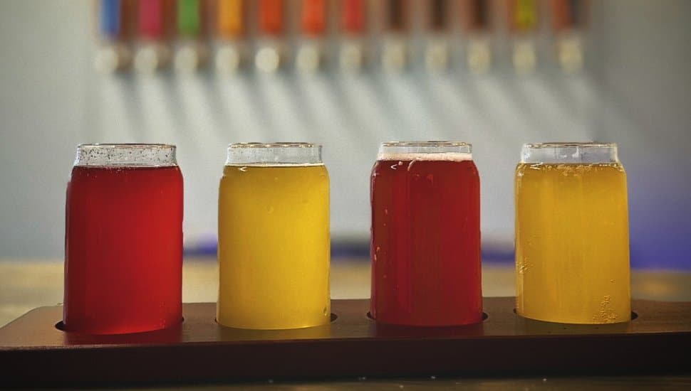 Four kombucha teas in glasses from Twilight Kombucha.