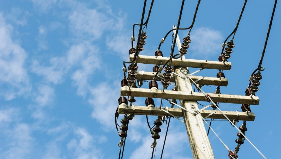 Audubon’s PJM Takes Steps to Protect Your Electric Bill