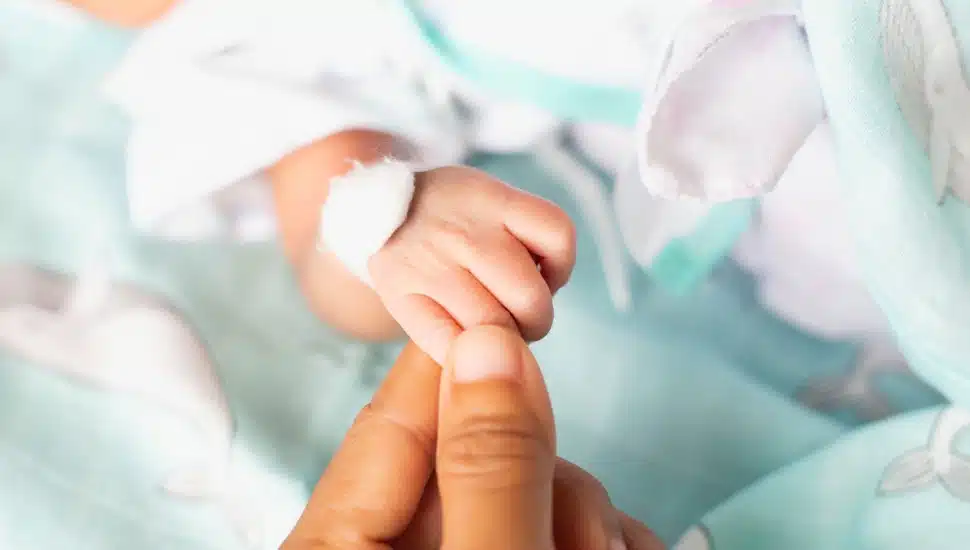 Small delicate little hand of newborn.