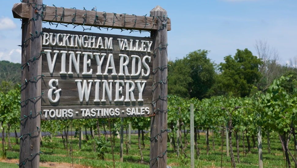 Buckingham Valley Vineyards and Winery sign.